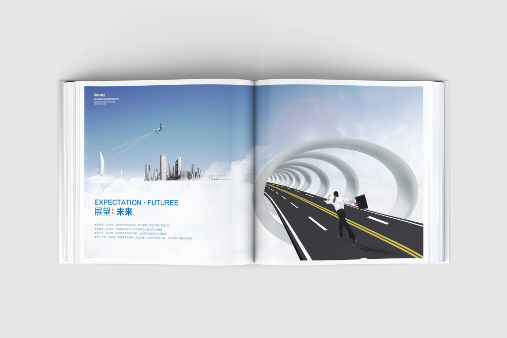 大武口区画册设计